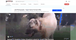 Desktop Screenshot of kangal.tv